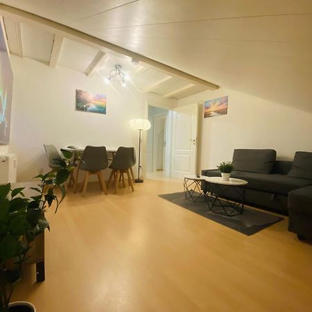 Deluxe Business Suite Mit Netflix Premium & Parkplatz, Zentral Zu Audi & Schwarz Gruppe With 2 Bedrooms Bad Friedrichshall Exteriér fotografie