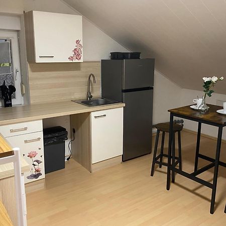 Deluxe Business Suite Mit Netflix Premium & Parkplatz, Zentral Zu Audi & Schwarz Gruppe With 2 Bedrooms Bad Friedrichshall Exteriér fotografie
