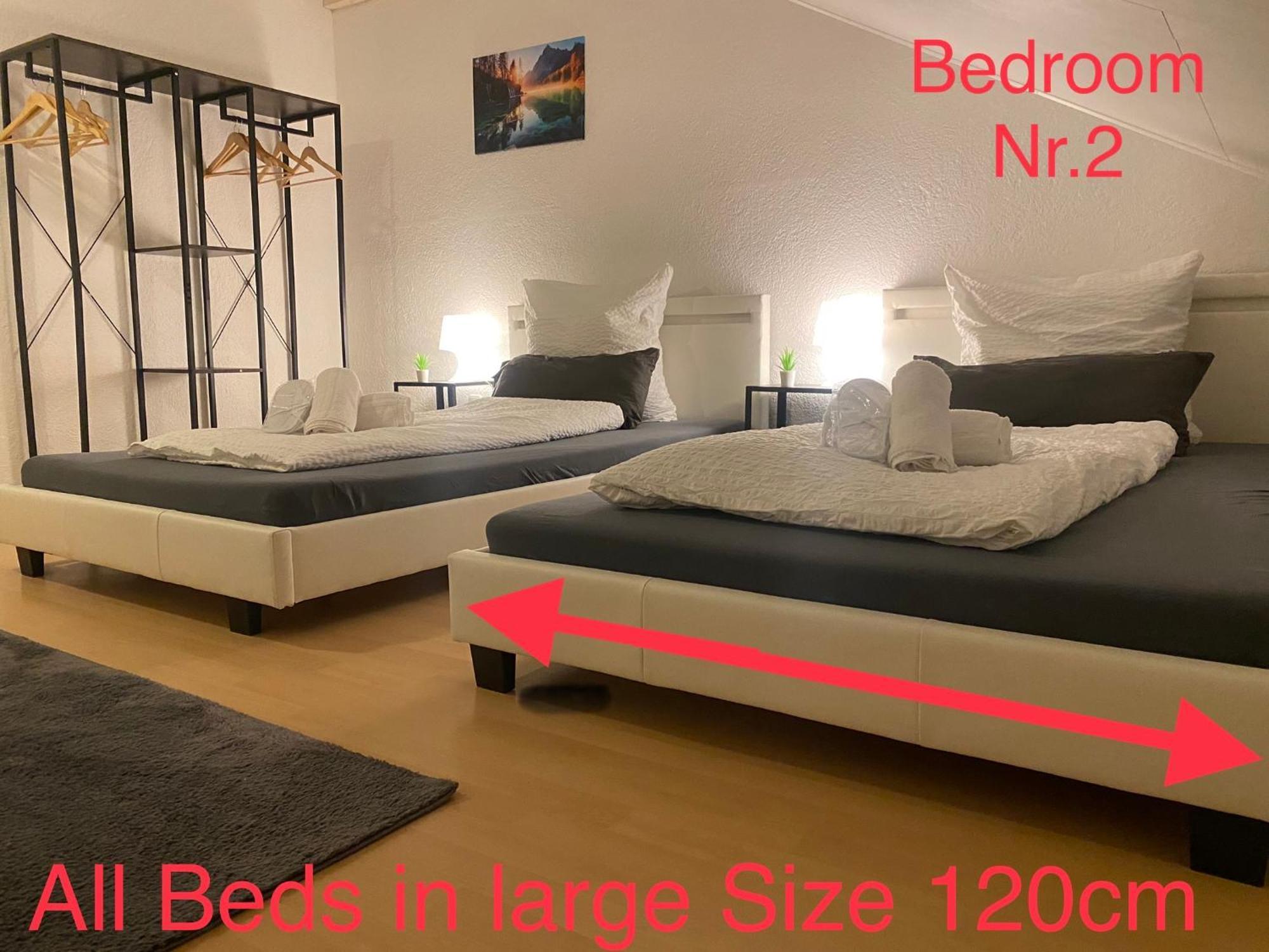 Deluxe Business Suite Mit Netflix Premium & Parkplatz, Zentral Zu Audi & Schwarz Gruppe With 2 Bedrooms Bad Friedrichshall Exteriér fotografie